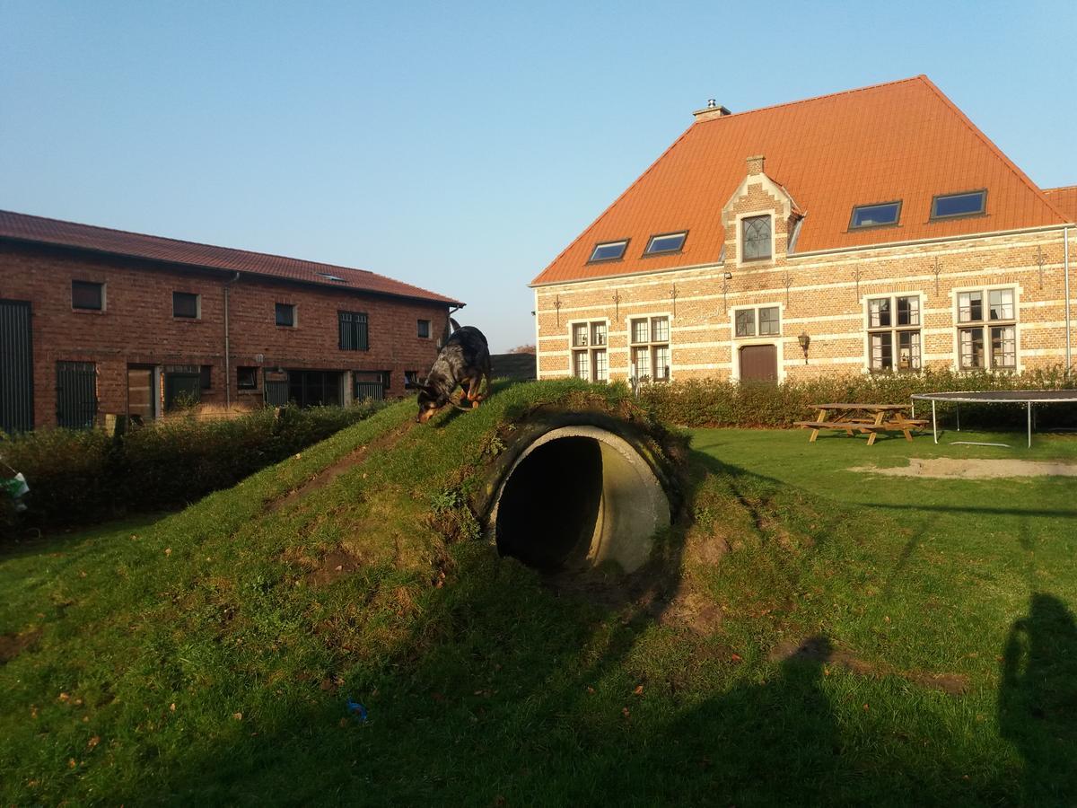 B&B Euverbraeke Beveren  Exterior foto